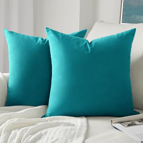 Topfinel Kissenbezug 40x40 cm Türkis blau 2er Set Samt Kissenbezüge Kissenhülle Sofakissen Dekokissen Couchkissen Zierkissen Deko für Sofa Bett Wohnzimmer Schlafzimmer von Topfinel