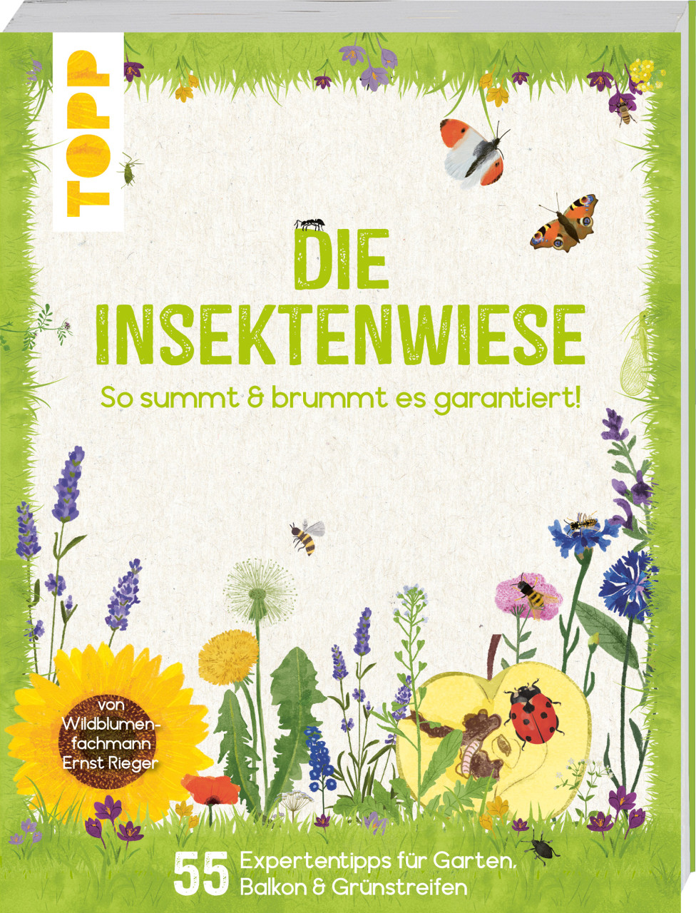 Die Insektenwiese: So summt & brummt es bestimmt! Die Insektenwiese: So summt & brummt es bestimmt! von Topp