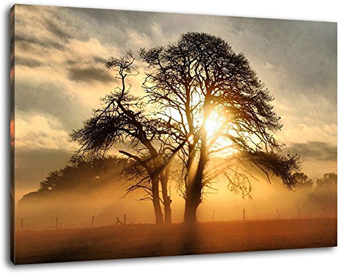 Sonnenaufgang hinter einem Baum Format:80x60 cm Bild auf Leinwand bespannt, riesige XXL Bilder komplett und fertig gerahmt mit Keilrahmen, Kunstdruck auf Wand Bild mit Rahmen, günstiger als Gemälde oder Bild, kein Poster oder Plakat von Stil.Zeit