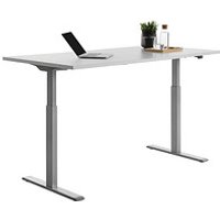 Topstar E-Table elektrisch höhenverstellbarer Schreibtisch lichtgrau rechteckig, T-Fuß-Gestell grau 160,0 x 80,0 cm Topstar E-Table elektrisch höhenverstellbarer Schreibtisch lichtgrau rechteckig, T-Fuß-Gestell grau 160,0 x 80,0 cm von Topstar