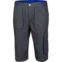 Arbeitsshorts für Herren von Toptex Pro