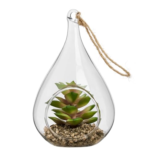 Torre & Tagus Künstliche Sedum-Pflanze im hängenden Glas-Terrarium (inklusive Kunstpflanze), kleines Pflanzen-Terrarium mit künstlichem Sukkulentenornament im Luftpflanzen-Terrarium als von Torre & Tagus