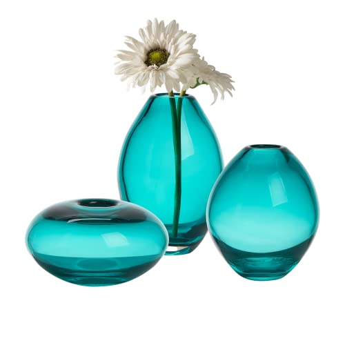 Torre & Tagus Mini Lüster Bud Vase Set für Home Office Tischdekoration, Glas, Türkis/Ausflug, einfarbig (Getaway Solids), Assorted, 3 von Torre & Tagus
