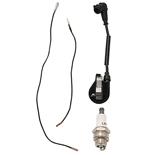 Torribala Ignition Spule mit Kerze für 024 026 028 029 034 036 038 039 044 048 Ms240 Ms260 Ms290 Ms310 Ms360 Ms360C Ms390 Ms440 Ms640 Kettensäge Torribala Ignition Spule mit Kerze für 024 026 028 029 034 036 038 039 044 048 Ms240 Ms260 Ms290 Ms310 Ms360 Ms360C Ms390 Ms440 Ms640 Kettensäge von Torribala