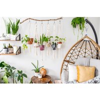 Makramee Pflanzenaufhänger, Hängender Pflanzer Für Drinnen, Kleine Große Hängende Pflanze Topflappen, Boho Wohnkultur Ideen, Zimmerpflanze Makramee Pflanzenaufhänger, Hängender Pflanzer Für Drinnen, Kleine Große Hängende Pflanze Topflappen, Boho Wohnkultur Ideen, Zimmerpflanze von TortueCrafts