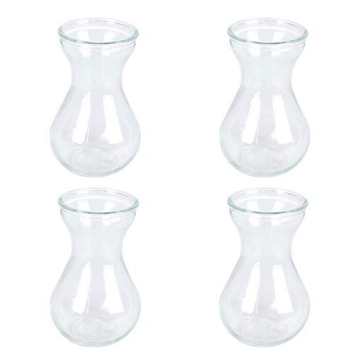 Toruiwa Hyazinthe Glasvase Hydrokultur Glas Vase Blüten Vasen für Hyazinthe Sukkulenten Luftanlagen Pflanzen Dekoration 14.5 * 6.5 * 7.5cm Transparent (4 Stück) von Zhi Jin