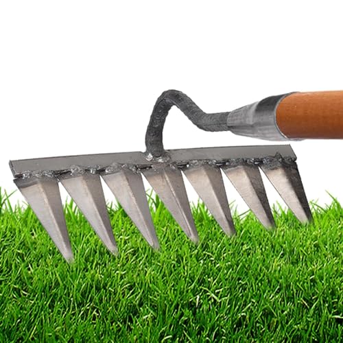Toseky Unkrautentferner Mit Stiel, Traditionelles Garden Harke, Gartenarbeit Hand Unkrautstecher, Gartenrechen Unkrautjäter, Unkrautjätgerät Mit Langem Griff Aus Edelstahl von Toseky