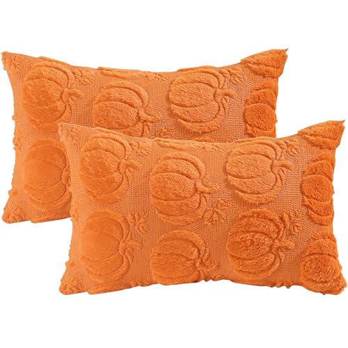 Tosleo 2 Stück Kürbis Kissenbezug Herbst 30x50 cm Halloween Kopfkissenbezug Weicher Plüsch Orange Kürbis Kissenhülle Dekoration Sofakissenbezüge für Sofa Fall Garten Schlafzimmer Zuhause Herbstdeko Tosleo 2 Stück Kürbis Kissenbezug Herbst 30x50 cm Halloween Kopfkissenbezug Weicher Plüsch Orange Kürbis Kissenhülle Dekoration Sofakissenbezüge für Sofa Fall Garten Schlafzimmer Zuhause Herbstdeko von Tosleo