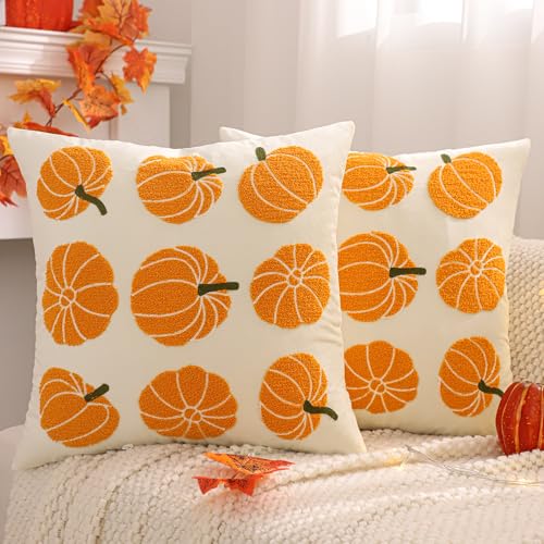 Tosleo 2 Stück Kürbis Kissenbezug Herbst aus Samt 45x45 cm Kopfkissenbezug 3D Oranger Kürbis Kissenhülle Dekoration Zierkissenbezüge für Home Sofa Garten Schlafzimmer Zuhause Herbstdeko Tosleo 2 Stück Kürbis Kissenbezug Herbst aus Samt 45x45 cm Kopfkissenbezug 3D Oranger Kürbis Kissenhülle Dekoration Zierkissenbezüge für Home Sofa Garten Schlafzimmer Zuhause Herbstdeko von Tosleo