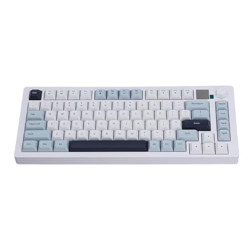 Tosuny 75% Drahtlose Mechanische Gaming Tastatur, Bluetooth 5.0 RGB Backbeleuchtungstastatur mit Display & K nopf, USB C Kabel, Vorgeschmolzenem Linearem Schalter, Heißer, Swappbarer, (Blue) von Tosuny