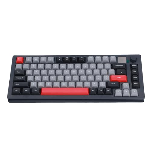 Tosuny 75% Drahtlose Mechanische Gaming Tastatur, Bluetooth 5.0 RGB Backbeleuchtungstastatur mit Display & K nopf, USB C Kabel, Vorgeschmolzenem Linearem Schalter, Heißer, Swappbarer, (Gray) von Tosuny
