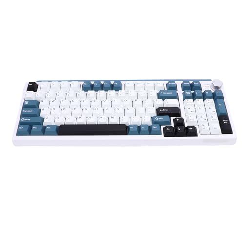 Tosuny 75% Drahtlose Mechanische Tastatur, 2,4 G//USB C Kabelspieltastatur mit, RGB Hintergrundlunzel, Benutzerdefinierte Firefly Switch, 98 Tasten Kompakte Tastatur für PC (Blue) von Tosuny