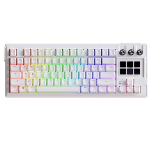 Tosuny 75% Mechanische Gaming Tastatur, RGB Backbeleuchtungsmechanische Mechanische Tastatur mit Heißem Rotem Schalter, 6 LCD Makro programmierbare Tasten, 3 Schalttasten, 78 Taste (White) von Tosuny