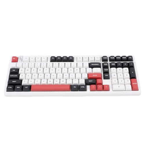 Tosuny Wireless Mechanische Tastatur, Bluetooth RGB Backstreuz Gaming Tastatur, USB C Kabel Office Tastaturen mit Blauem Switch, Heiße, Benutzerdefinierte Tastaturen für den PC von Tosuny