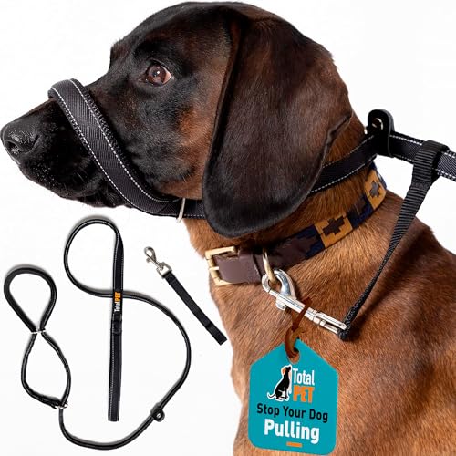 Total Pet Hundeleine mit 8 Stück, flach, Anti-Zieh-Stopp, reflektierend, mit gepolsterter Nasenstütze (180 cm) Total Pet Hundeleine mit 8 Stück, flach, Anti-Zieh-Stopp, reflektierend, mit gepolsterter Nasenstütze (180 cm) von Total Pet