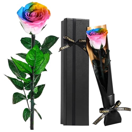 Ewige Regenbogenrose mit echtem Stiel | Handgefärbtes Blumengeschenk für LGBTQ+ Feiern & kreative Frauen | Farbenfrohe Eternal Flower in Box – Perfekt für Pride-Parade, Geburtstage & Jubiläen​ von Touloube