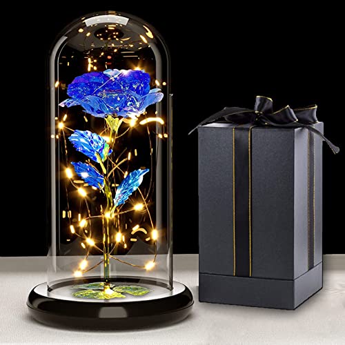 Galaxy Rose Blume Geschenk, Infinity Rose in Glaskuppel, LED-Lichterkette auf der Kristallrose, Einzigartiges Geschenk für Frauen, Weihnachten,Hochzeit,Valentinstag,Muttertag,Jahrestag und Geburtstag von Touloube