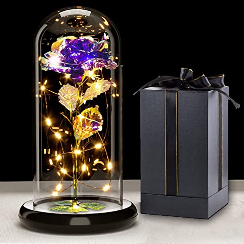 Galaxy Rose Blume Geschenk, Infinity Rose in Glaskuppel, LED-Lichterkette auf der Kristallrose, Einzigartiges Geschenk für Frauen, Weihnachten,Hochzeit,Valentinstag,Muttertag,Jahrestag und Geburtstag von Touloube