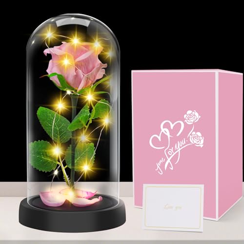 Geschenke für Frauen, Geschenk zum Muttertag - Premium Rose Blume Geschenk, Ewige Rose im Glas Mit LED-Lichter, 1 Rosa Seide Rose in Glaskuppel, Muttertagsgeschenk für Mama Mutter Großmutter Oma von Touloube