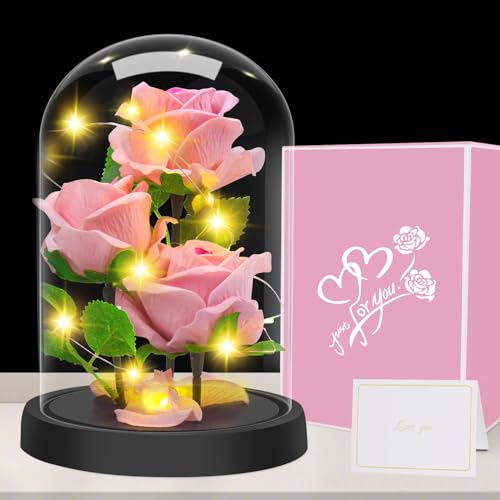 Geschenke für Frauen, Geschenk zum Muttertag - Premium Rose Blume Geschenk, Ewige Rose im Glas Mit LED-Lichter, 3 Rosa Seide Rose in Glaskuppel, Muttertagsgeschenk für Mama Mutter Großmutter Oma von Touloube