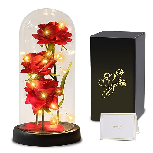 Touloube Geschenke für Frauen, Die Schöne und das Biest Rose Premium Rose Blume Geschenk, Ewige Rose im Glas Mit LED-Lichter, Infinity Rosen Geschenke für Mama Mutter Großmutter Oma Frauen Freundin von Touloube