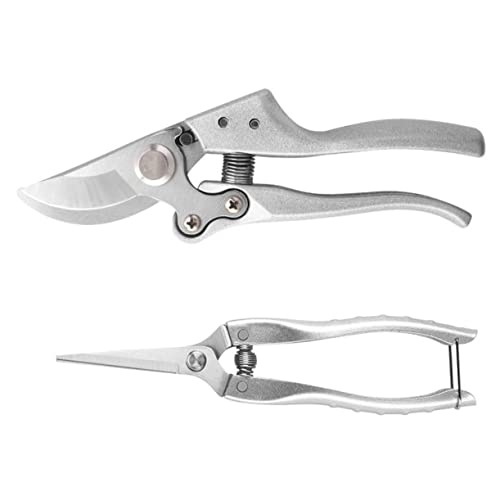 Toyvian 1 Satz Beschneidungsscher -Set Schere Cutter Trimmer Clippers Gartenarbeit Gartenbeschneidungswerkzeug Handschneider Obstpicker -Werkzeug Rostfreier Silber Toyvian 1 Satz Beschneidungsscher -Set Schere Cutter Trimmer Clippers Gartenarbeit Gartenbeschneidungswerkzeug Handschneider Obstpicker -Werkzeug Rostfreier Silber von Toyvian