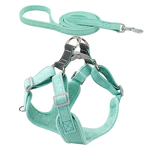 Toyvian 1 Satz Haustierleine Beleg kleines Geschirr für Welpen Hund Kleiner führen Form Welpenleine und Geschirr verschleißfestes Welpengeschirr Wildleder Light Green Toyvian 1 Satz Haustierleine Beleg kleines Geschirr für Welpen Hund Kleiner führen Form Welpenleine und Geschirr verschleißfestes Welpengeschirr Wildleder Light Green von Toyvian