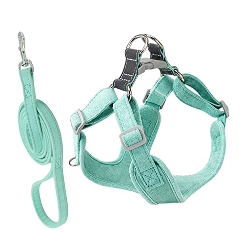 Toyvian 1 Satz Haustierleine Gurte Für Welpen Kleines Hundegeschirr Form Geschirre Leinen Groß Schnalle Hundeleine Hundegurt Geschirr Kleine Hunde Name Wildleder Green von Toyvian