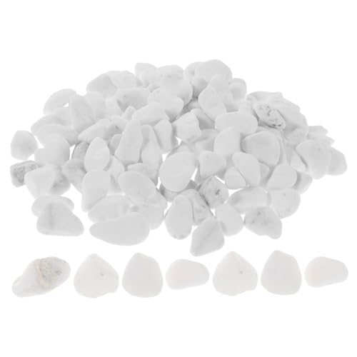 Toyvian 1 Satz Pflanzgefäße Aquarien Gartenlandschaft Ästhetische Steine für Bonsai Pfade Dekoration mit Minimalem Pflegeaufwand Toyvian 1 Satz Pflanzgefäße Aquarien Gartenlandschaft Ästhetische Steine für Bonsai Pfade Dekoration mit Minimalem Pflegeaufwand von Toyvian
