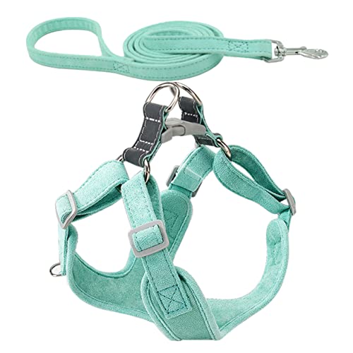 Toyvian 1 Satz Weste-Leine Leine für kleine Hunde Geschirr für Dackel gepolstert gehen XXX Welpengurt für kleine Hunde verschleißfestes Welpengeschirr Wildleder Light Green von Toyvian