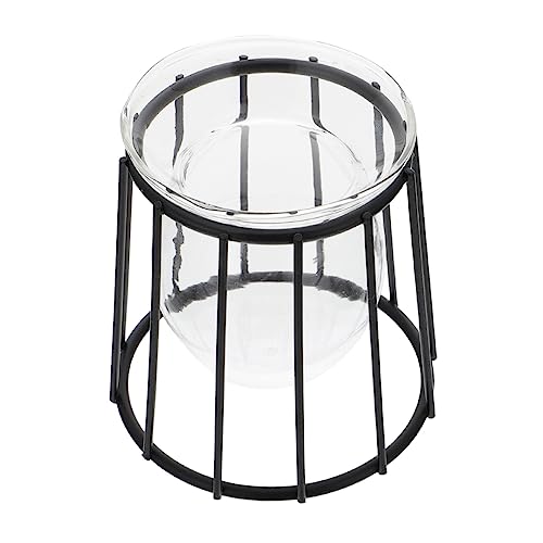 Toyvian 1 Stück Hydroponische Vase Behälter Hydroponikblume Container Behälter Zur Vermehrung Von Hydroponikpflanzen Hydroponik -vase Blumenbehälter Transparente Vase Schmiedeeisen Schwarz von Toyvian