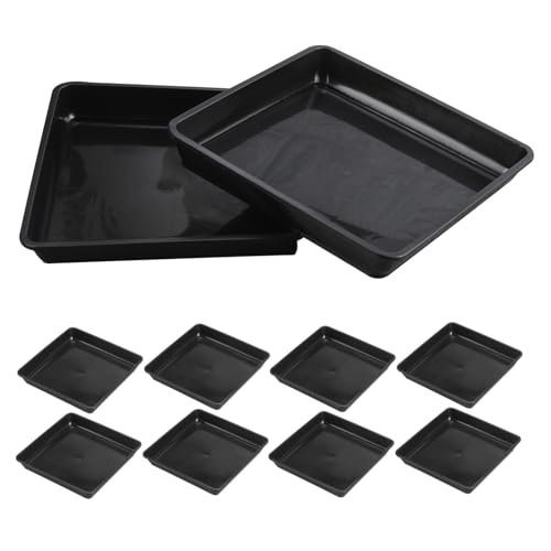 Toyvian 10 Stück Blumentopf Tablett Wasserschale Für Pflanzen Pflanzuntersetzer Topfteller Für Pflanzgefäß Wasserschale Blumen Tropfschalen Pflanztopf Untersetzer Toyvian 10 Stück Blumentopf Tablett Wasserschale Für Pflanzen Pflanzuntersetzer Topfteller Für Pflanzgefäß Wasserschale Blumen Tropfschalen Pflanztopf Untersetzer von Toyvian