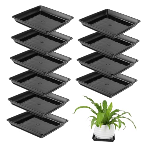 Toyvian 10 Stück Quadratische Pflanzuntersetzer aus Hitzebeständigem Kunststoff Robust und Langlebig Geeignet für Kleine Blumentöpfe für Garten und Innenbereich Schützt Oberflächen vor Toyvian 10 Stück Quadratische Pflanzuntersetzer aus Hitzebeständigem Kunststoff Robust und Langlebig Geeignet für Kleine Blumentöpfe für Garten und Innenbereich Schützt Oberflächen vor von Toyvian