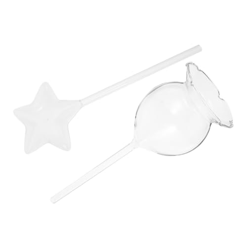 Toyvian 2 Stück Bewässerungsgerät automatische Gartengarten Blumenbewässerungsvorrichtung Pflanzenbewässerungseinsätze Automatisches Dripper -Gerät Spikes gießen Glas Transparent von Toyvian