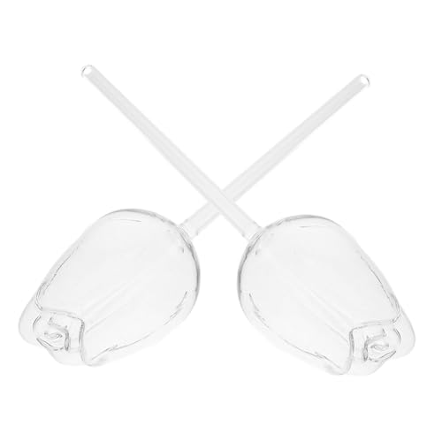 Toyvian 2 Stück Blumenbewässerung Für Rosen Wachsend Globen Im Freien Tropfen Selbst Mini-pflanzenbewässerungskugeln Einsätze Glas Mit Hohem Borosilikatgehalt Transparent von Toyvian
