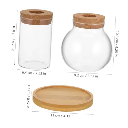 Toyvian 2 Stück Glas vase mit Holzständer Hydroponische Pflanzen vasen Rund Transparente Pflanzgefäße für Stecklinge Blumentopf Terrarium Dekoration Propagation Station von Toyvian