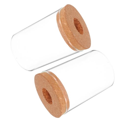 Toyvian 2stücke Hydrokultur Vase Aus Klarglas Für Pflanzen-anzucht Dekorative Glas-vase Für Schreibtisch Transparent Hydroponische Pflanzenvase von Toyvian