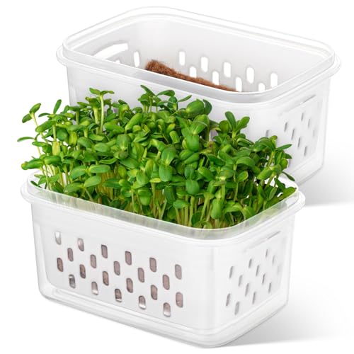 Toyvian 2 Stück Keimschalen Für Setzlinge Transparente Setzling-Töpfe Erdlose Keimschale Für Den Garten Klare Anzuchttöpfe Mit Drainagelöchern Drinnen Und Draußen von Toyvian