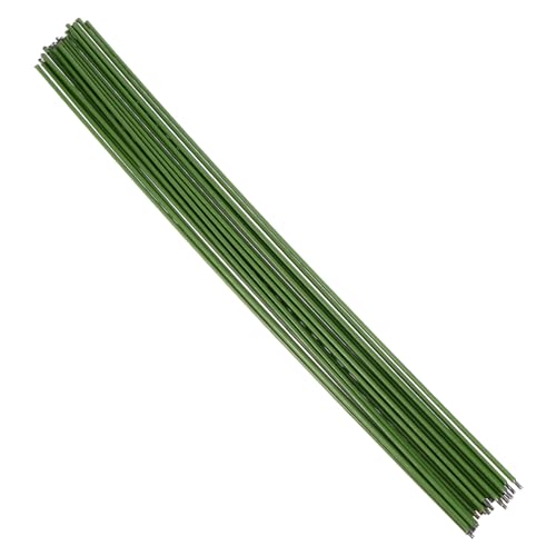 Toyvian Pflanzenstützen Eisen für Gartenpflanzen Robuste Unterstützung für Stielpflanzen 20 Stück Rostfrei und Langlebig für Kletternde und Buschige Pflanzen von Toyvian