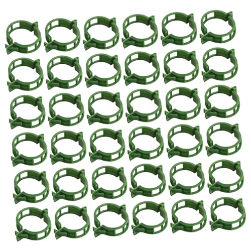 Toyvian 200 Stück Pflanzenclips Grün für Tomaten Rankhilfe PP Pflanzensupport Klammern Leicht für Gewächshaus Gemüse Kletterpflanzen Einfache Befestigung und Stabilisierung Toyvian 200 Stück Pflanzenclips Grün für Tomaten Rankhilfe PP Pflanzensupport Klammern Leicht für Gewächshaus Gemüse Kletterpflanzen Einfache Befestigung und Stabilisierung von Toyvian