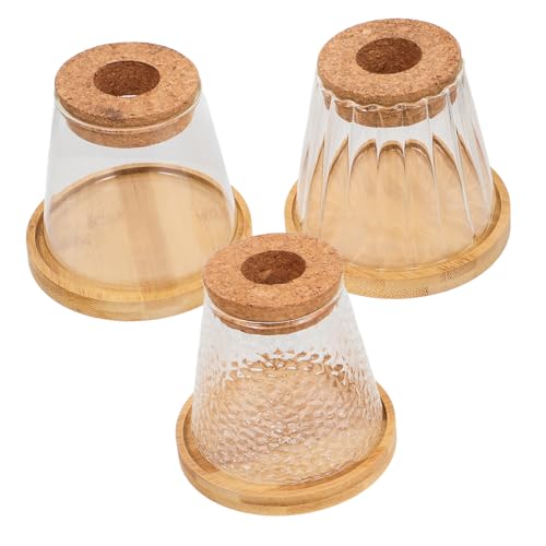 Toyvian 3 Sätze Glas Terrarienflaschen mit Tablett Transparente Hydroponik Vasen mit Korken Kleine Pflanzgefäße für Zimmerpflanzen für Mikro Vermehrung und Indoor Garten Dekoration Toyvian 3 Sätze Glas Terrarienflaschen mit Tablett Transparente Hydroponik Vasen mit Korken Kleine Pflanzgefäße für Zimmerpflanzen für Mikro Vermehrung und Indoor Garten Dekoration von Toyvian