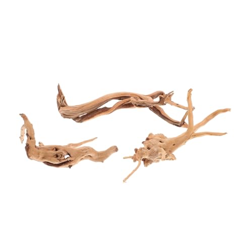 Toyvian 3 Stück Teiliges Aquarium Schwemmholz Natürliche Wurzelholz Deko Lebensechte Pflanzstümpfe Stabile Bodengrund Dekoration für Fischbecken Terrarium Reptilienhaltung Toyvian 3 Stück Teiliges Aquarium Schwemmholz Natürliche Wurzelholz Deko Lebensechte Pflanzstümpfe Stabile Bodengrund Dekoration für Fischbecken Terrarium Reptilienhaltung von Toyvian