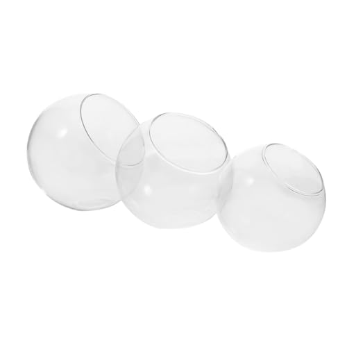 Toyvian 3 Stück Teiliges Micro Landscape Glasflaschen Oblique Terrarium Transparent DIY Sukkulenten Luftpflanzen Miniatur Garten Dekoration für Zuhause und Büro Toyvian 3 Stück Teiliges Micro Landscape Glasflaschen Oblique Terrarium Transparent DIY Sukkulenten Luftpflanzen Miniatur Garten Dekoration für Zuhause und Büro von Toyvian