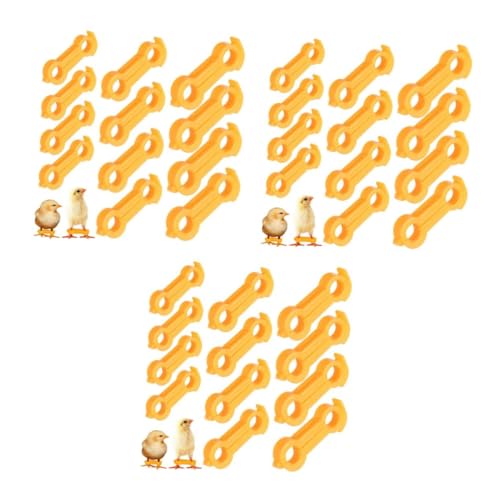 Toyvian 36 Stck Teiliges Vogel Spreizbein Korrekturband aus Robustem Sanfte Haltung Einfache Anwendung Geeignet für Küken Tauben Enten und Papageien zur Verbesserung Gehhaltung von Toyvian