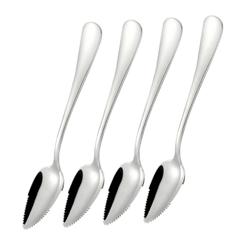 Toyvian 4 Stück Edelstahl Löffel Set mit Gezackten Kanten zum Fruchtpüree Schaben Sichere Kindersichere Obstlöffel für Äpfel und Langlebig und Leicht zu Reinigen von Toyvian