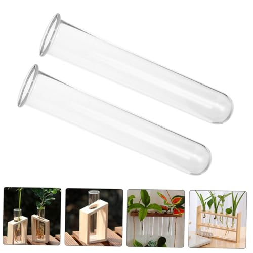 Toyvian 4 Stück Teiliges Transparente Glaszylinder mit Flachem Boden Reagenzglas Vase für Blumen Propagation Hydroponik Pflanzgefäß Platzsparend und Vielseitig für Zimmerpflanzen Toyvian 4 Stück Teiliges Transparente Glaszylinder mit Flachem Boden Reagenzglas Vase für Blumen Propagation Hydroponik Pflanzgefäß Platzsparend und Vielseitig für Zimmerpflanzen von Toyvian