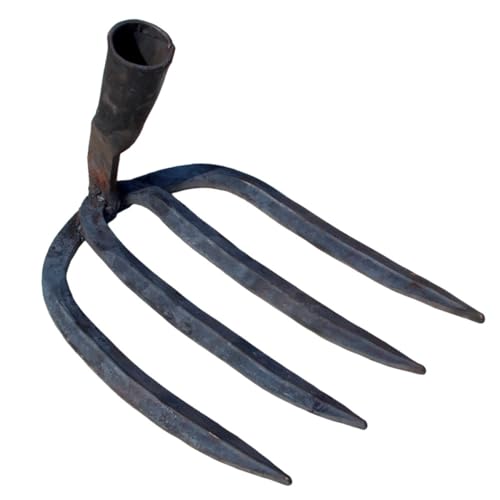 Toyvian 4 Vierzahnrechen Land Laubrechenkopf Hart Gerader Rechenkopf Grubber Rasen Handbuch Wahr Werkzeug Zinken Rechenkopf Aus Stahl Breiter Rechenkopf Tippen Black Toyvian 4 Vierzahnrechen Land Laubrechenkopf Hart Gerader Rechenkopf Grubber Rasen Handbuch Wahr Werkzeug Zinken Rechenkopf Aus Stahl Breiter Rechenkopf Tippen Black von Toyvian
