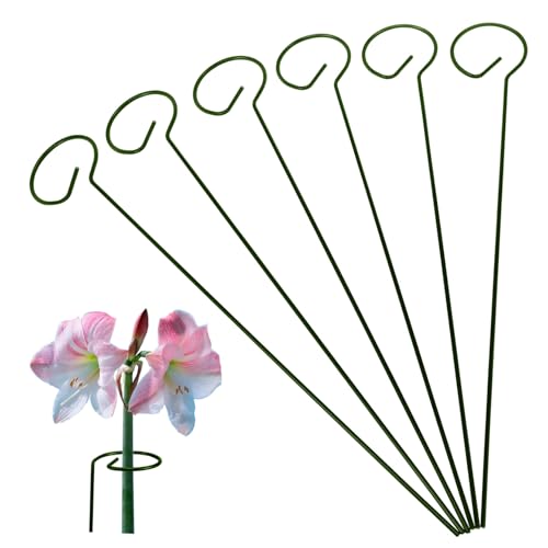 Toyvian 6 Stück Metall Pflanzenstützen Robuste Rankhilfe für Orchideen und Kletterpflanzen Verstellbar Solider Pflanzensupport für Topf und Gartenpflanzen von Toyvian