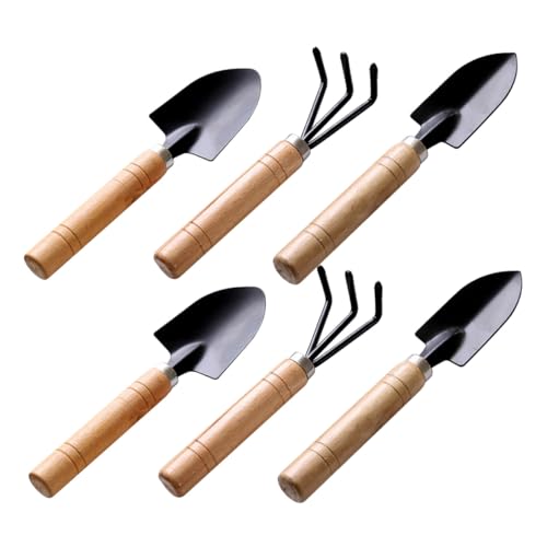 Toyvian 6 Stück Mini Gartengeräte Set Holzgriff Gartenwerkzeug für Bodenlockerung Umpflanzen Unkrautentfernung Handlich Langlebig Geeignet für Kleine Gärten und Zimmerpflanzen Toyvian 6 Stück Mini Gartengeräte Set Holzgriff Gartenwerkzeug für Bodenlockerung Umpflanzen Unkrautentfernung Handlich Langlebig Geeignet für Kleine Gärten und Zimmerpflanzen von Toyvian