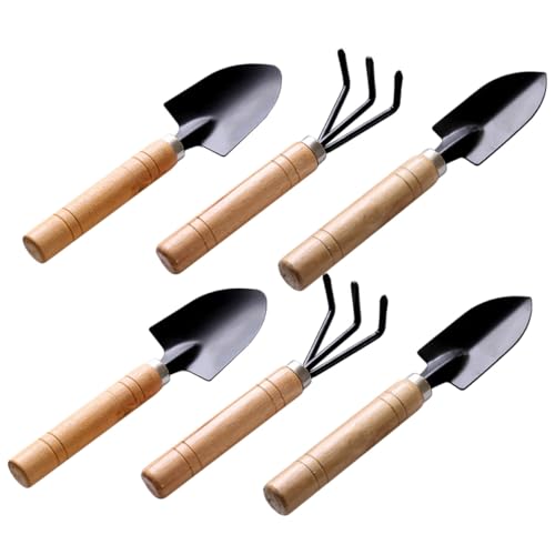 Toyvian 6 Stück Mini Gartenwerkzeug Set Teilig mit Glattem Holzgriff Metallspitze Handlich für Ausheben Unkrautentfernung Bodenlockern für Balkon und Zimmerpflanzen Umweltfreundlich Toyvian 6 Stück Mini Gartenwerkzeug Set Teilig mit Glattem Holzgriff Metallspitze Handlich für Ausheben Unkrautentfernung Bodenlockern für Balkon und Zimmerpflanzen Umweltfreundlich von Toyvian